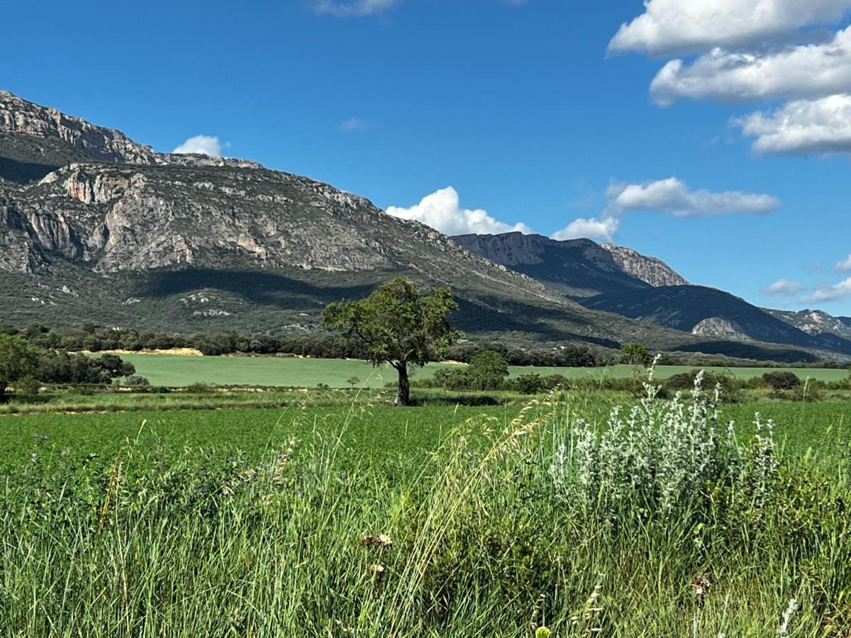 Apartaments La Pertusa 1R Piso Corca  Exteriér fotografie